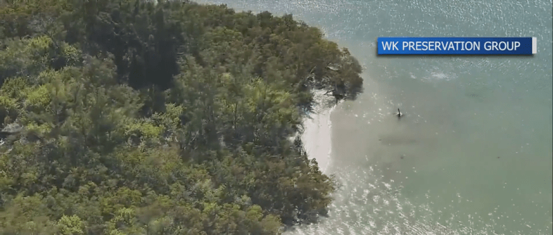 29-acre nature preserve proposed off Boca Ciega Bay