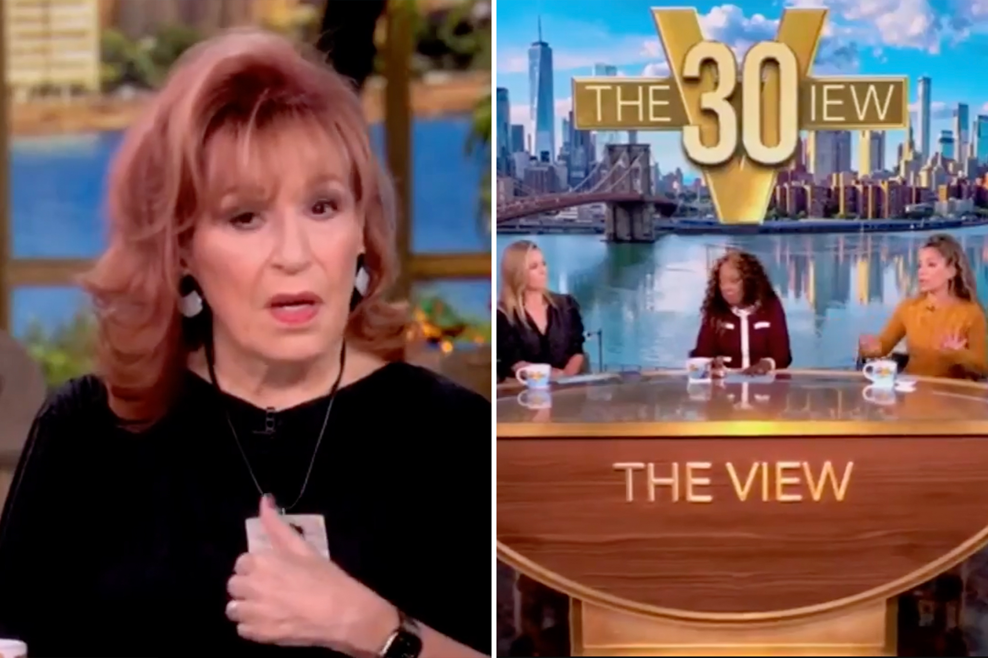 ‘The View’ co-host Joy Behar claims no woman will ever be elected POTUS