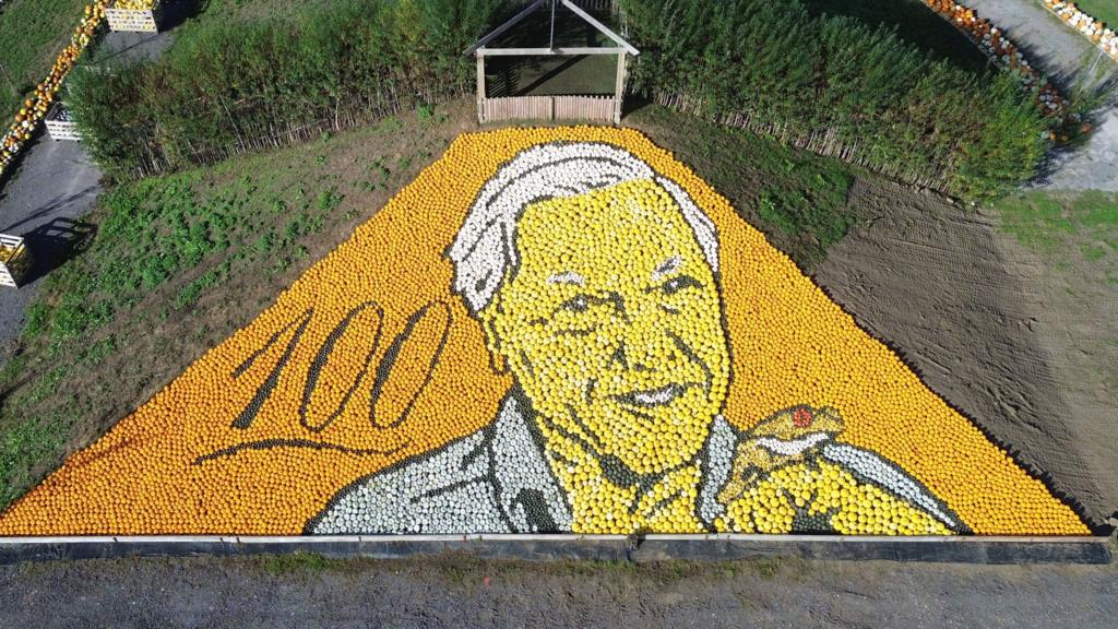 Attenborough pumpkin mosaic breaks world record