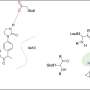 AI scans 4.6 million compounds in hours to predict hydrogen positions in drug-like molecules