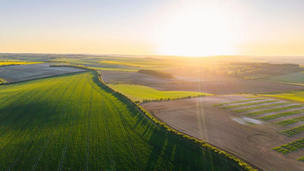 Farmers' fury at online scramble for £233m funding