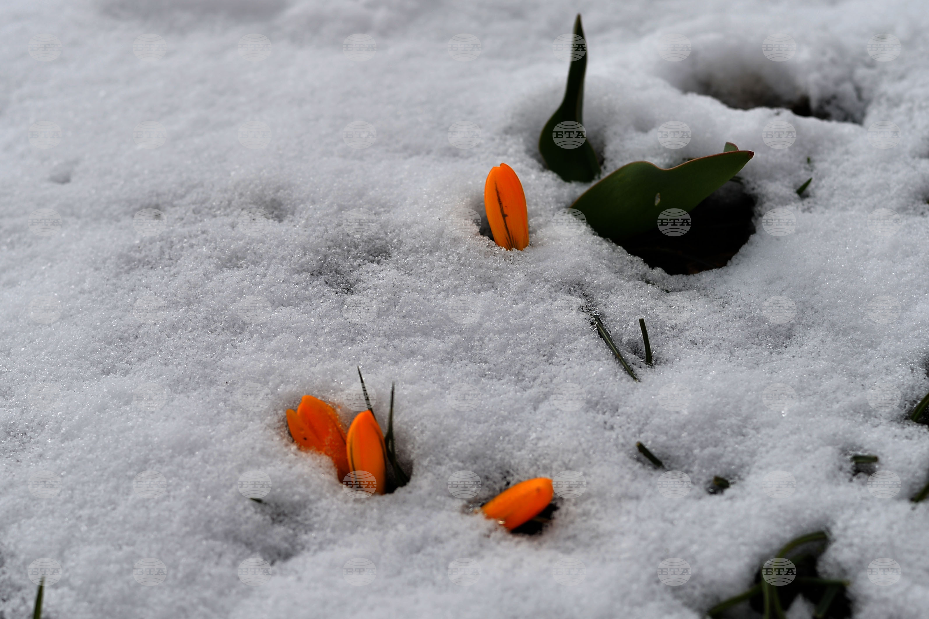 Season's First Snow Falls in Romania's Southern Carpathians