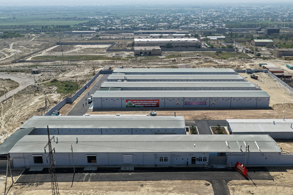 Tajikistan expands poultry sector with new egg farm in Guliston