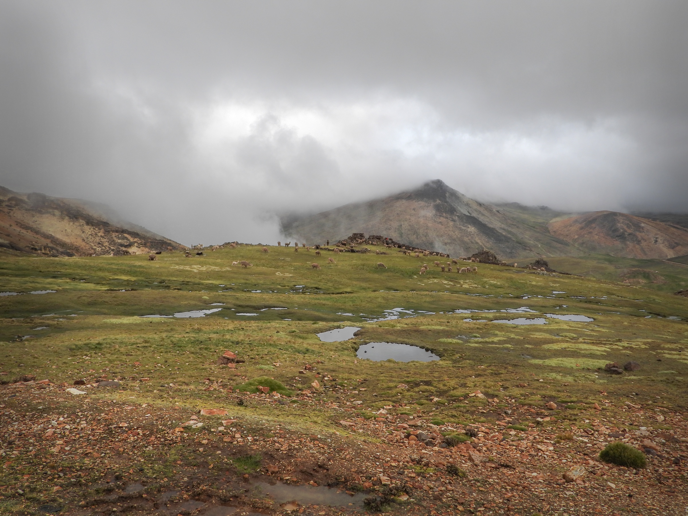 In Peru’s high Andes, restoring ancient ecosystems could help protect water security