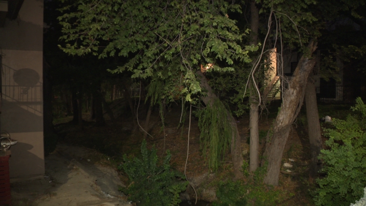 Dallas Police find man unresponsive in creek Wednesday, officials say