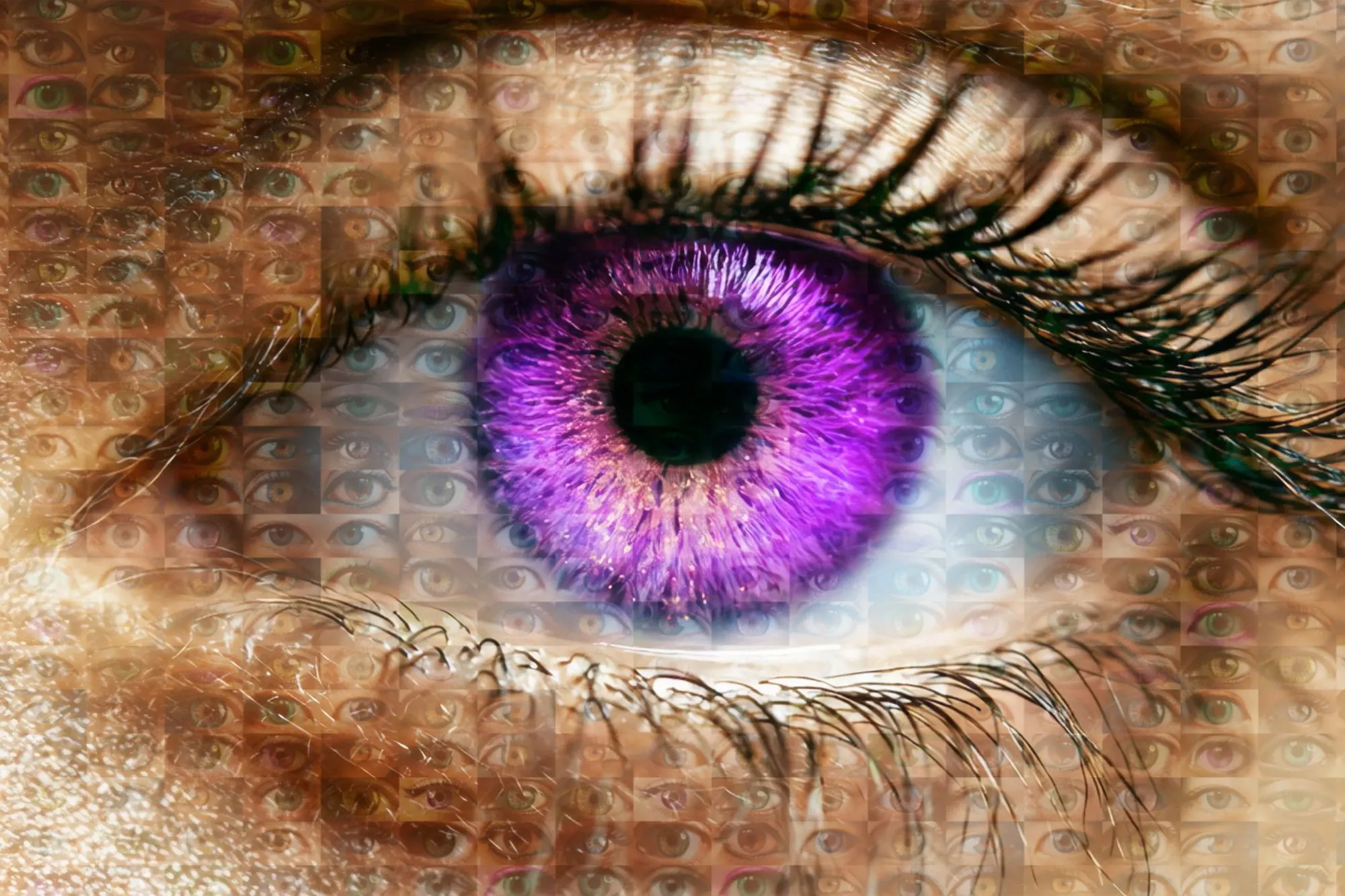 Big Brother hit by over 100 Ofcom complaints as Omar and Johanne clash in furious row