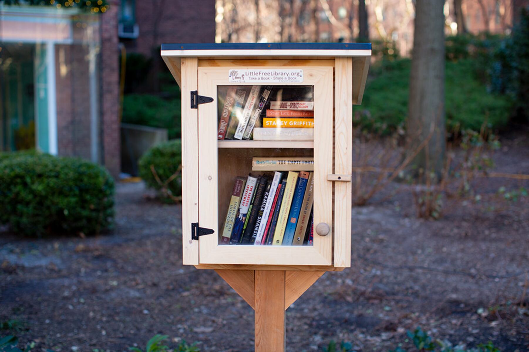 North Ridgeville residents question HOA order to remove Little Free Library – Sentinel Watch