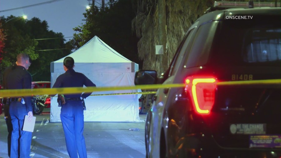 Teen killed, girl critically injured in Hyde Park hit-and-run