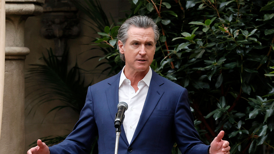 Newsom's admission that infamous COVID move was 'insane' triggers viral fury: 'We all told you'