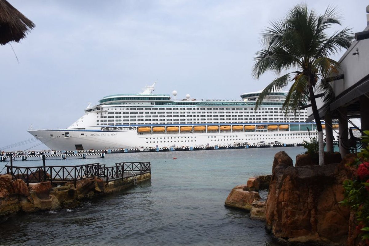 Royal Caribbean cruise passengers return to hundreds of baby spiders in their car