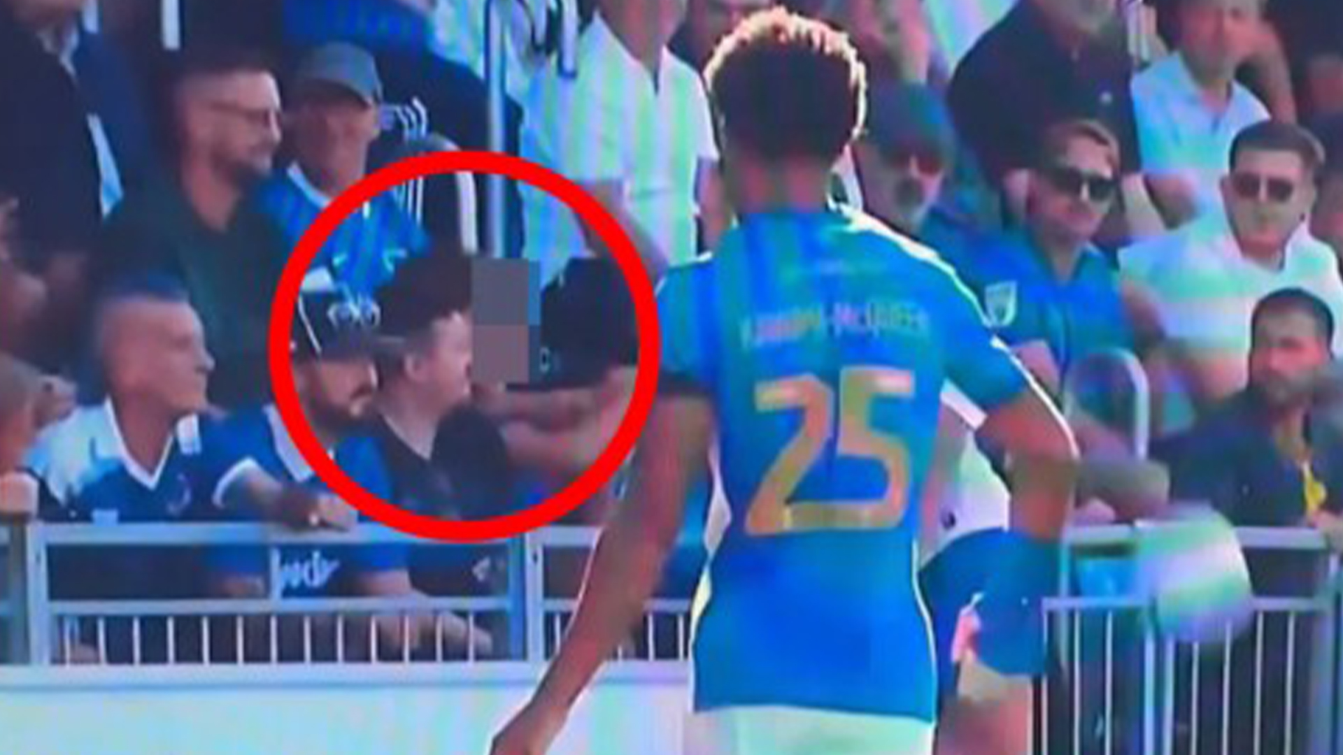 Cardiff star Krystian Bielik charged with misconduct by FA after appearing to grab young fan by NECK