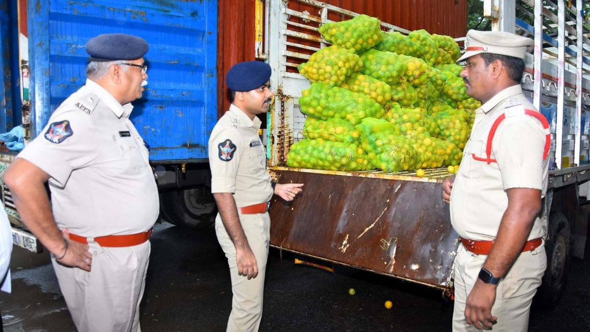 Kadapa police arrest nine in major red sanders smuggling bust