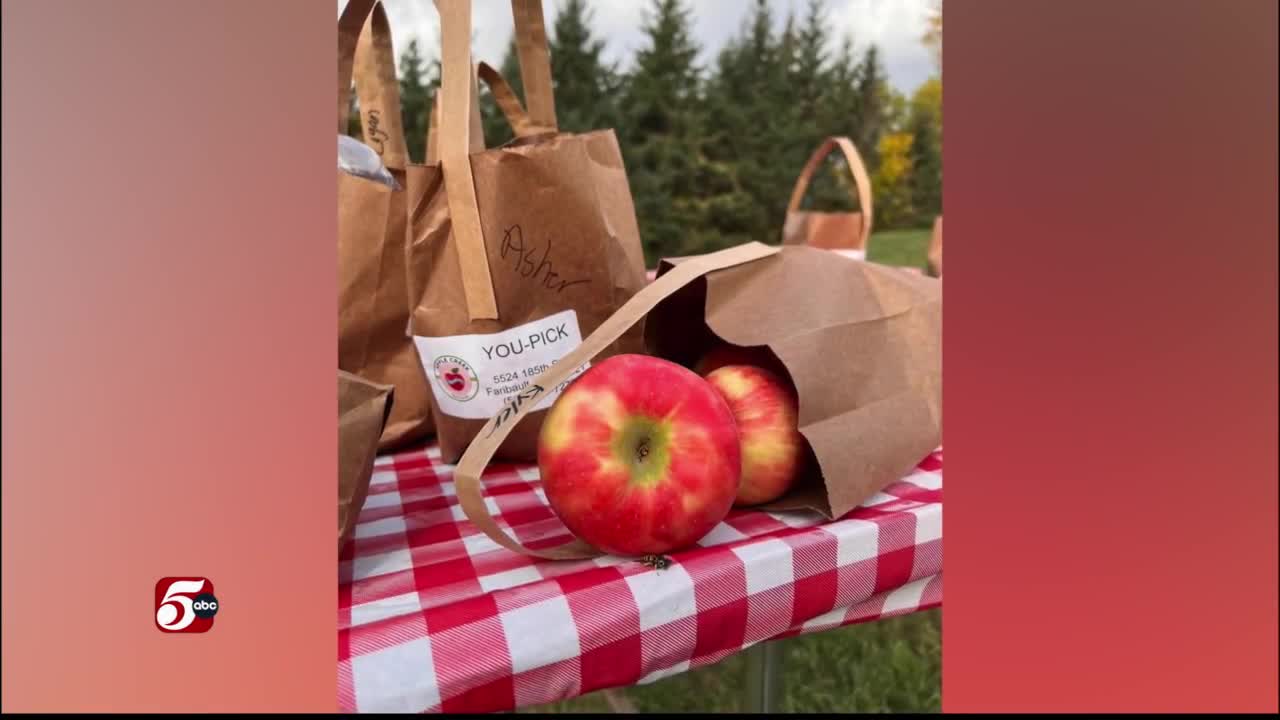 Apple Creek Orchard in Faribault
