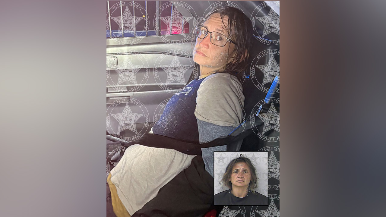 Florida woman wearing ballistic vest arrested after stolen patrol car found abandoned on interstate: SLCSO