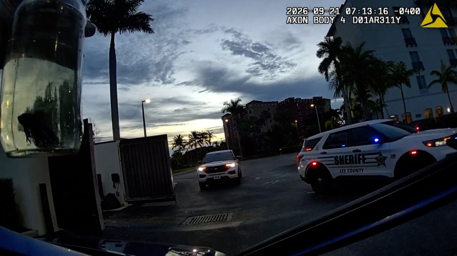 WATCH: Florida deputies find fish in bottle, stolen motorcycle parts during vehicle search