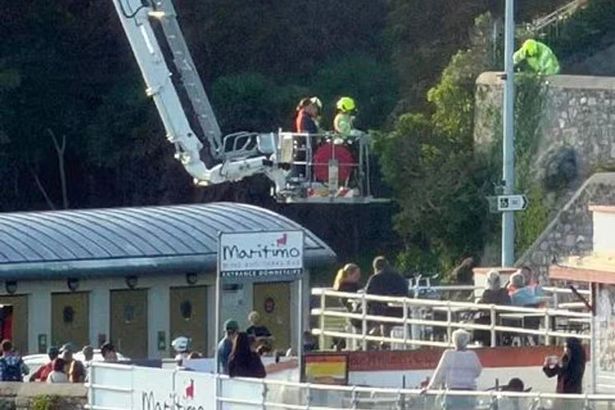 Python on the loose in Plymouth with 'gridlock' as fire crews close road
