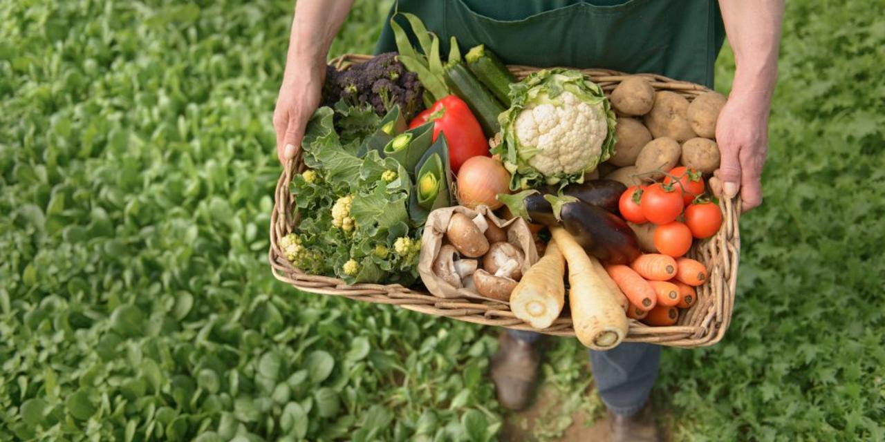 Food products account for 28.6% of Georgia's annual PPI increase