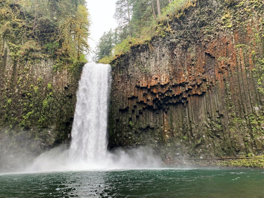 Oregon State Parks commission votes to approve Abiqua Falls purchase