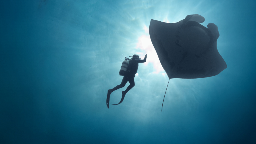 Oregon filmmaker captures 'unlikely story' of an ex-Hell's Angels' friendship with a manta ray