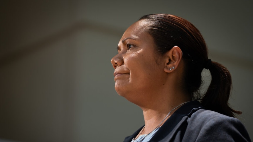 NT Labor fracking stand-off emerges as caucus members voice opposition