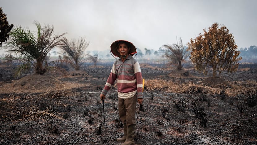 Cheap to burn, costly to bear: What fuels Indonesia’s persistent cycle of fires and haze?