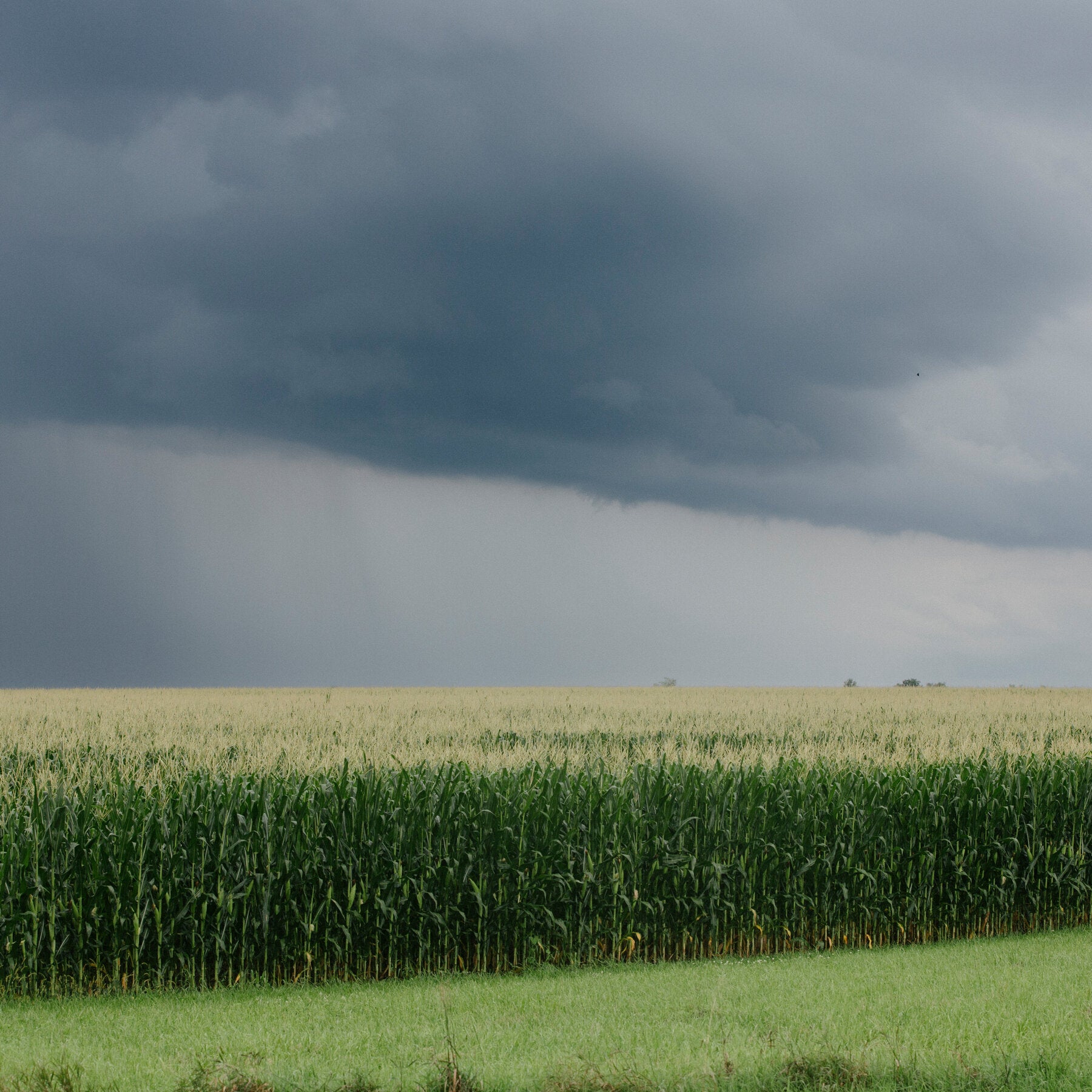 Trouble in the Heartland