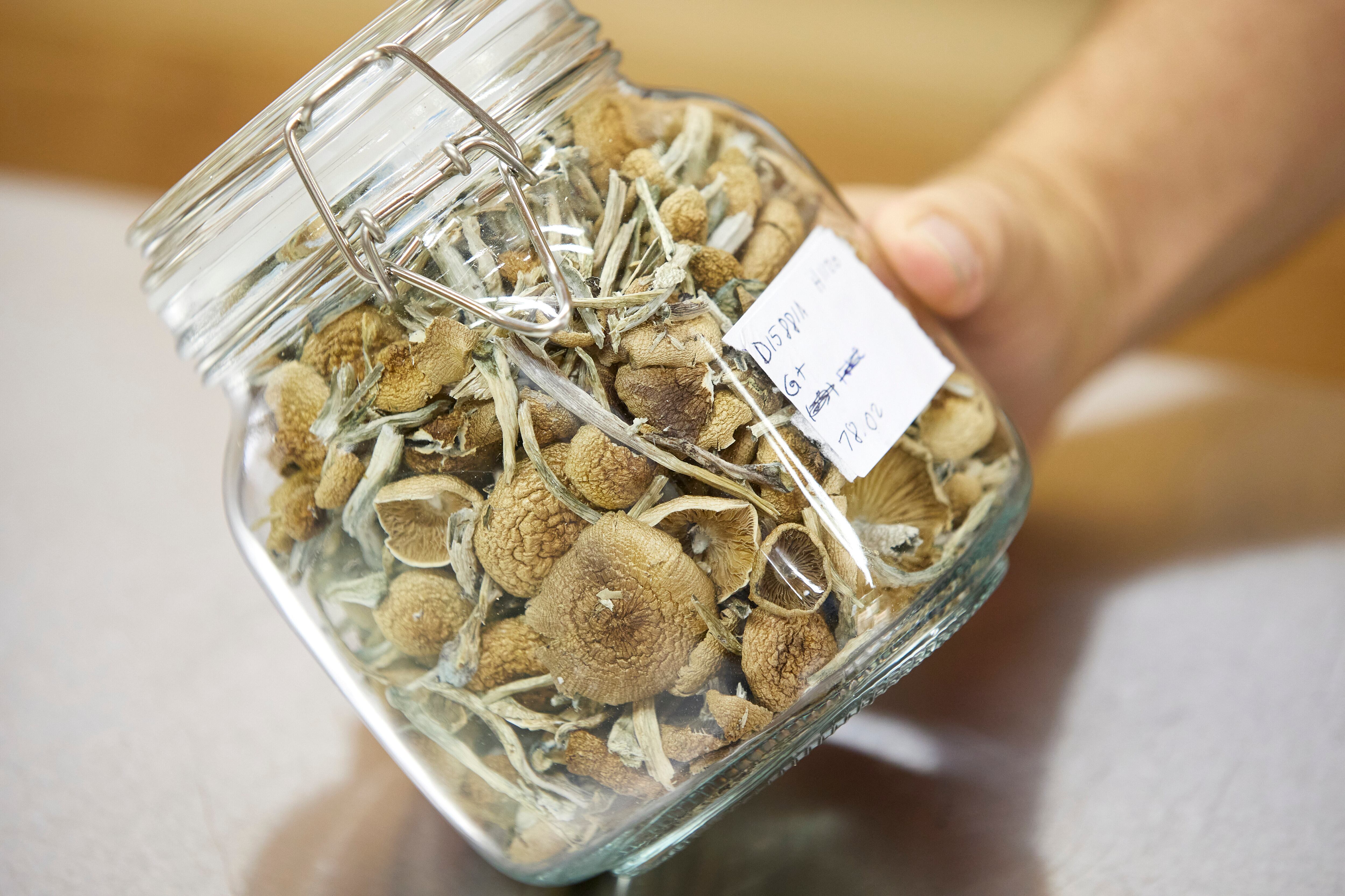 Oregon regulators nix higher fees for psilocybin after industry backlash