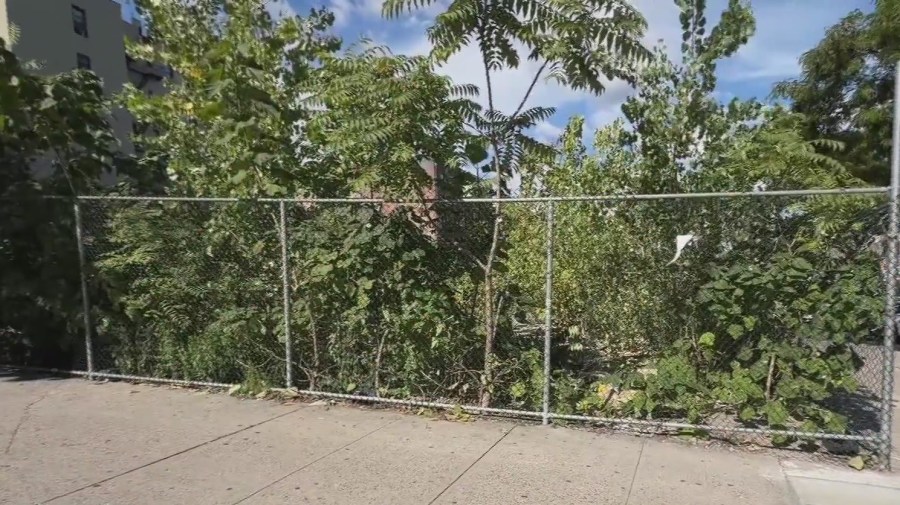 Vacant uptown lot could become future site of charter school