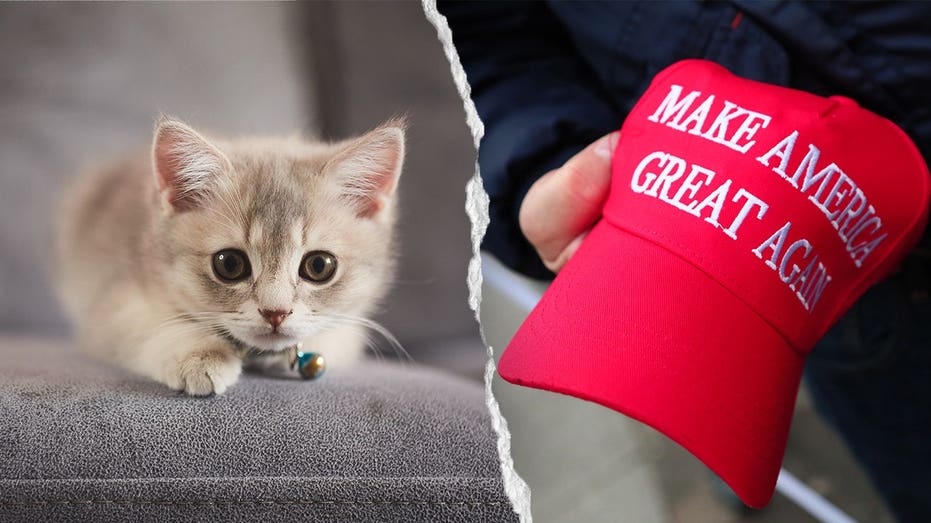 NYC kitten rescue defends ‘NO F---ING MAGA’ adoption policy as PETA calls for it to be abolished