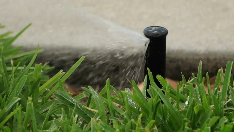 Tampa Bay water restrictions extended through March as Hillsborough County sees spike in citations
