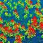 Aerial maps reveal successful woodland expansion in Scotland's Cairngorms