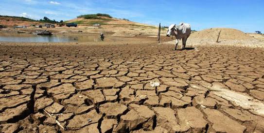 ECOWAS must adopt common disaster-preparedness laws – Sierra Leone Minority Leader