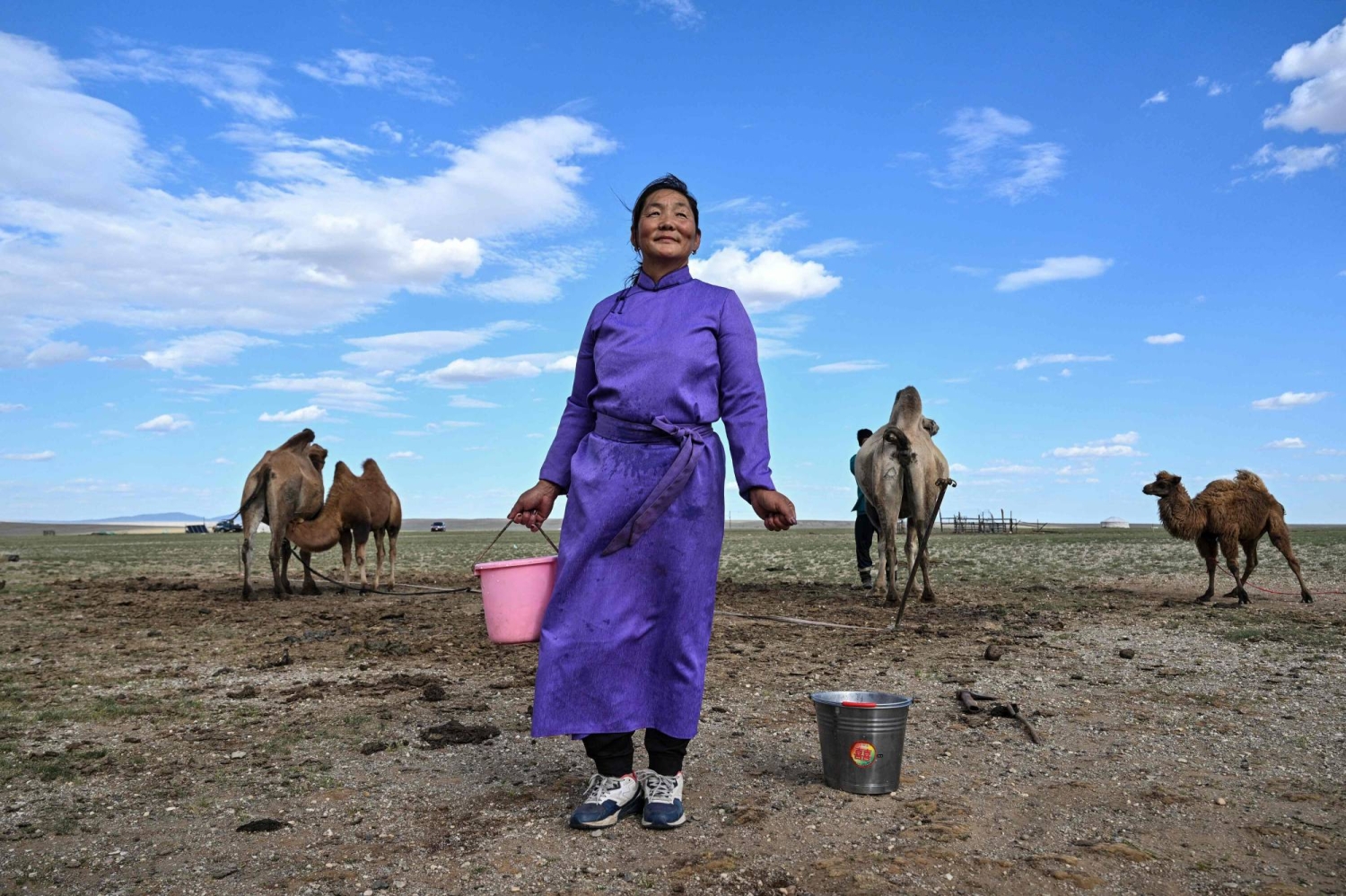 Mongolian herders enlist new tech against harsher, drier climate