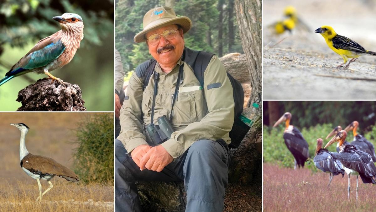 Interview | Ornithologist Asad Rahmani on his new book ‘Where Have the Birds Gone?’