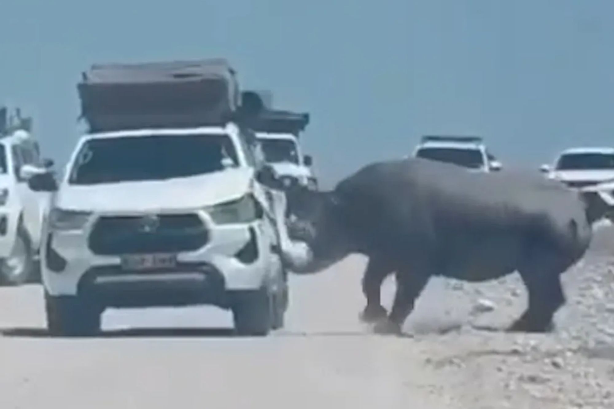 Terrifying moment rhino attacks tourist jeep as raging beast tears chunks off car during safari