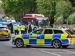 Girl, 16, is killed in car crash near £31,000-a-year Highgate School in north London - as man, 68, is arrested for causing death by careless driving
