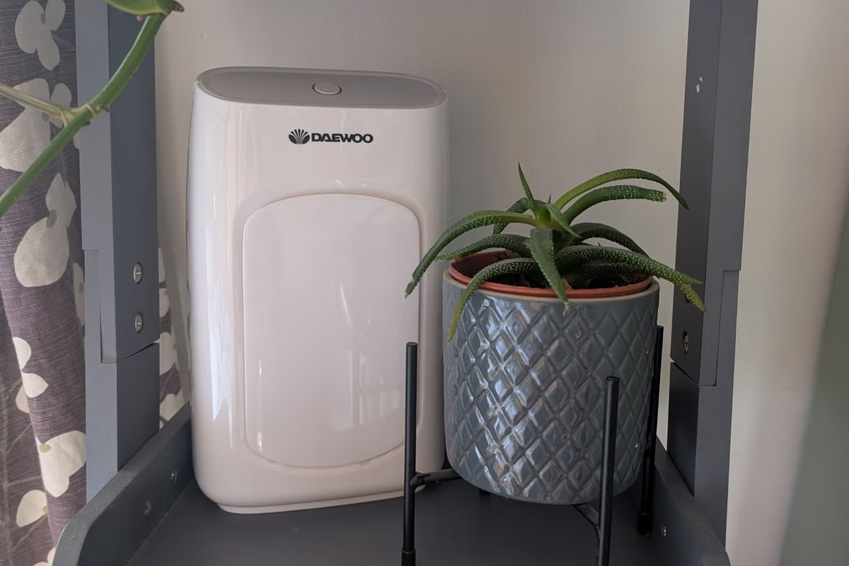 This £35 dehumidifier is a budget-friendly way to tackle damp and mould
