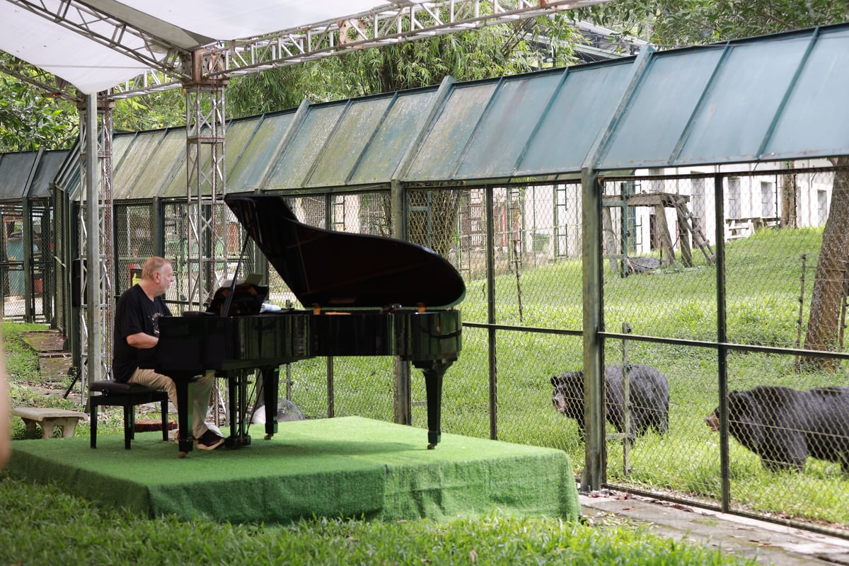 Rick Wakeman ‘incredibly honoured’ after performing to 150 ‘music loving’ bears