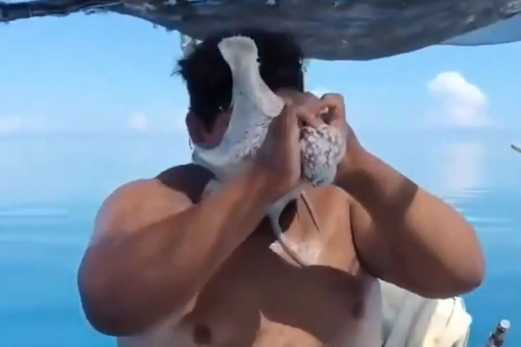 Terrifying moment octopus clings onto fisherman’s face as he desperately tries to pull it off