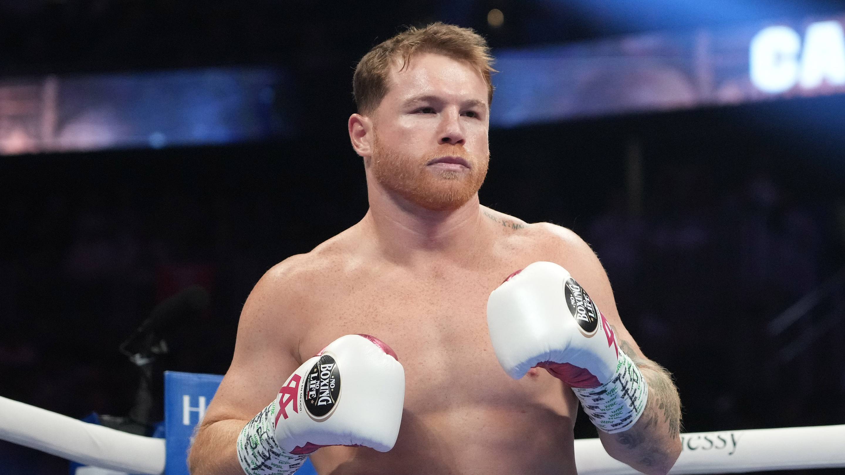 Roy Jones Jr Names Boxing's 'New Canelo'
