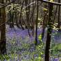 Major survey reveals public support for UK nature recovery