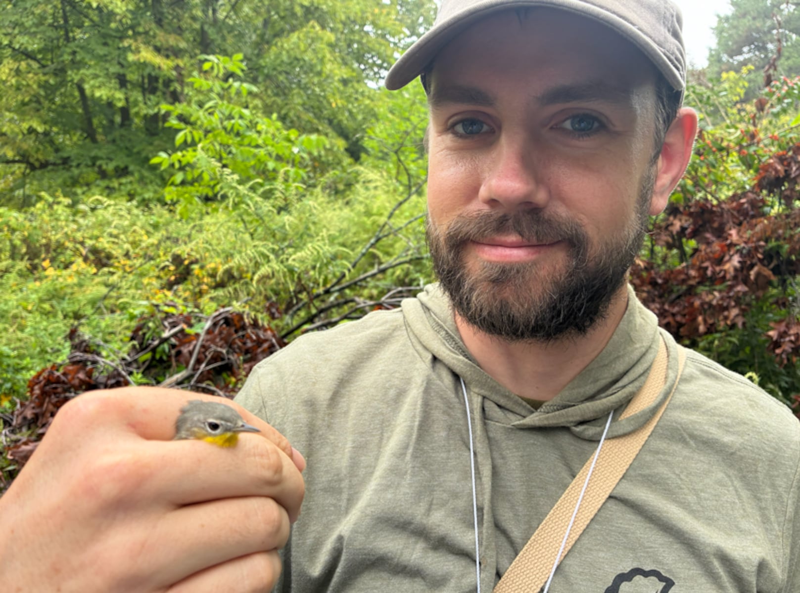Bird banding in Northeast Ohio: Keeping tabs on avian migrants