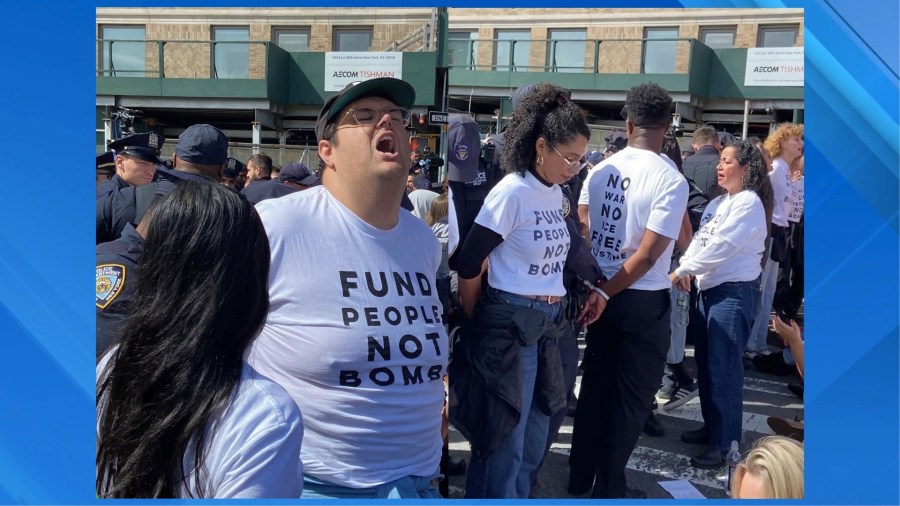 Elected officials, celebrities taken into custody during protest near UN