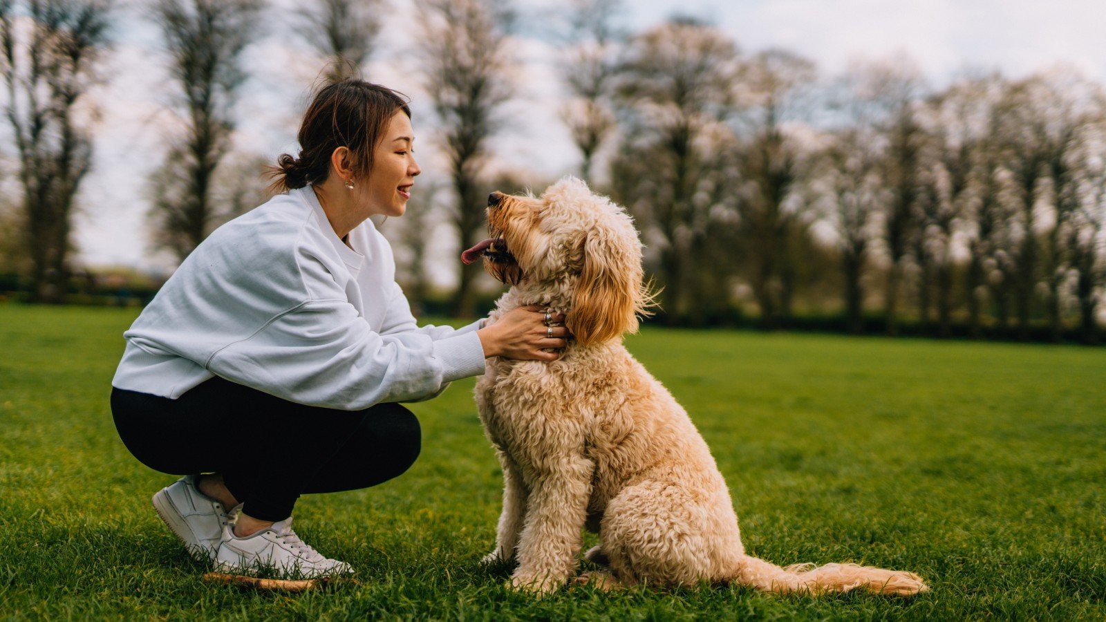 Scientists discover pets' brains understand human speech