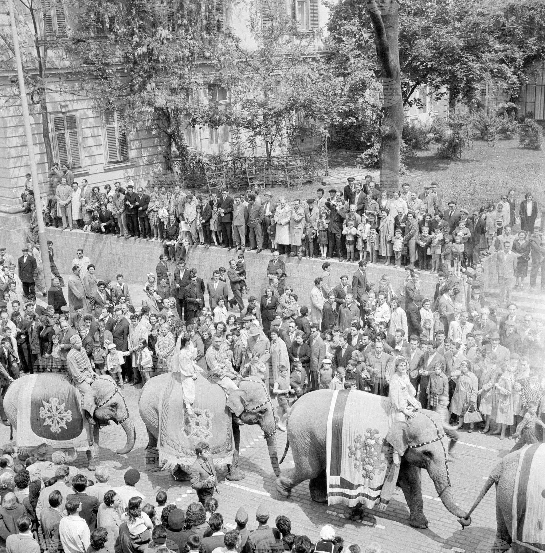 Observances: September 25