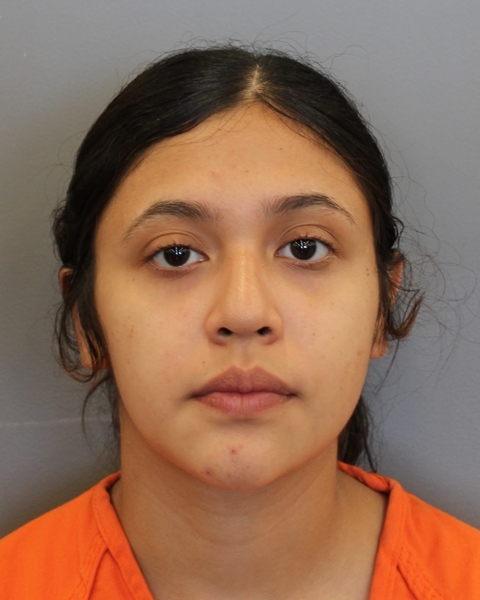Houston teen accused of shooting, killing boyfriend while vlogging