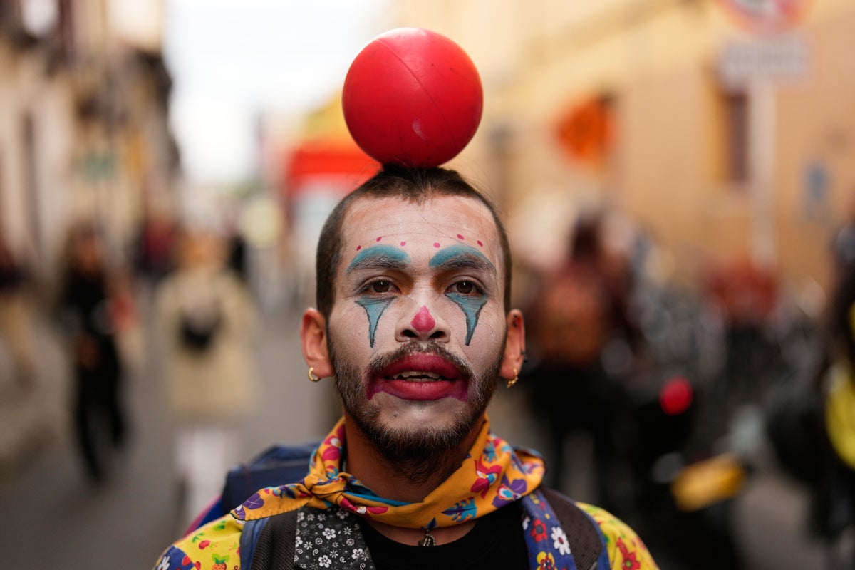 Bolivia's new wild cat, arts protests and other top photos from Latin America and the Caribbean