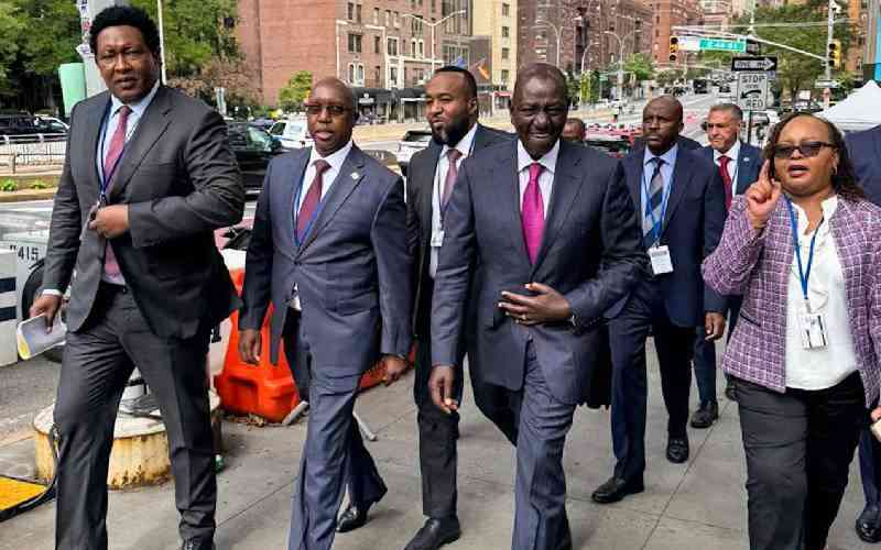 Leaders rue high cost of taking government to UN meeting