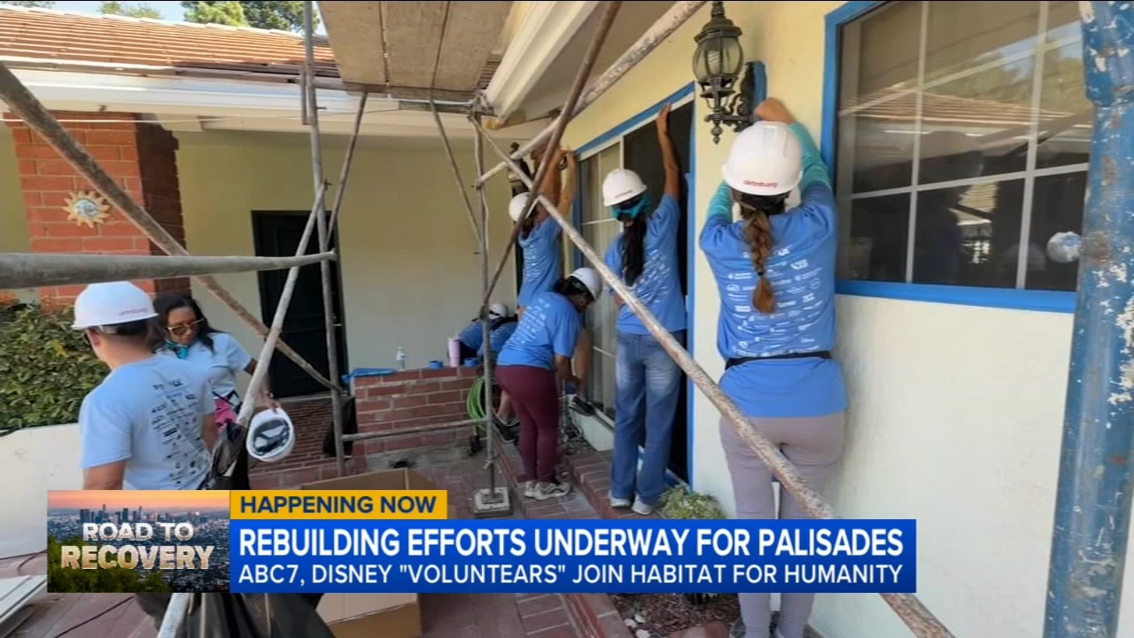 Stars roll up their sleeves to help Palisades Fire survivors rebuild