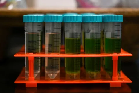 Marijuana company recalls contaminated products amid regulatory delays